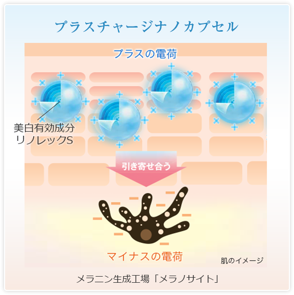 エクイタンス ホワイトエッセンス【サンスター公式通販】