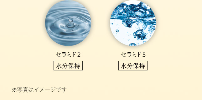 エクイタンス スペシャルインクリーム【サンスター公式通販】