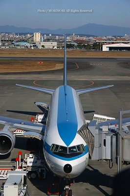 ANA(全日空)モヒカンジェット宮崎ブーゲンビリア空港での写真｜宮崎観光