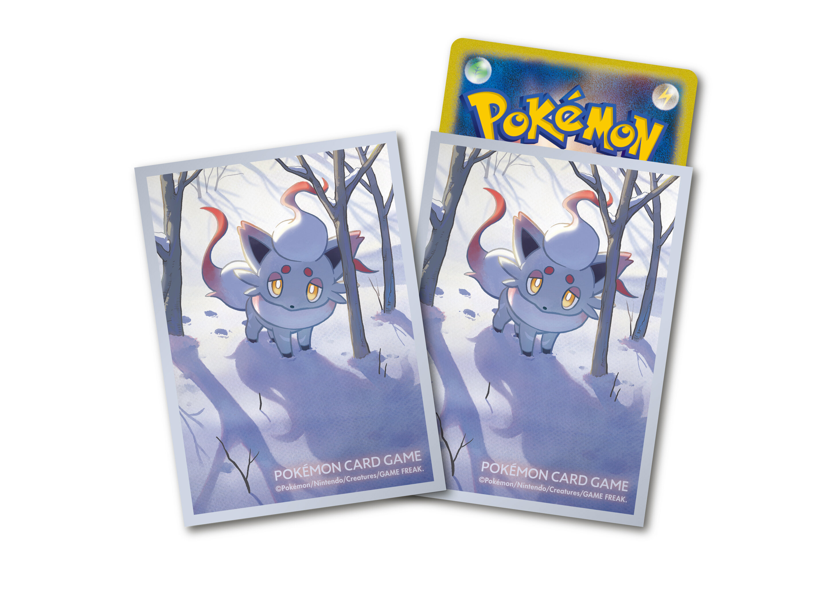 デッキシールドとデッキケース計8点をご紹介！ | ポケモンカードゲーム