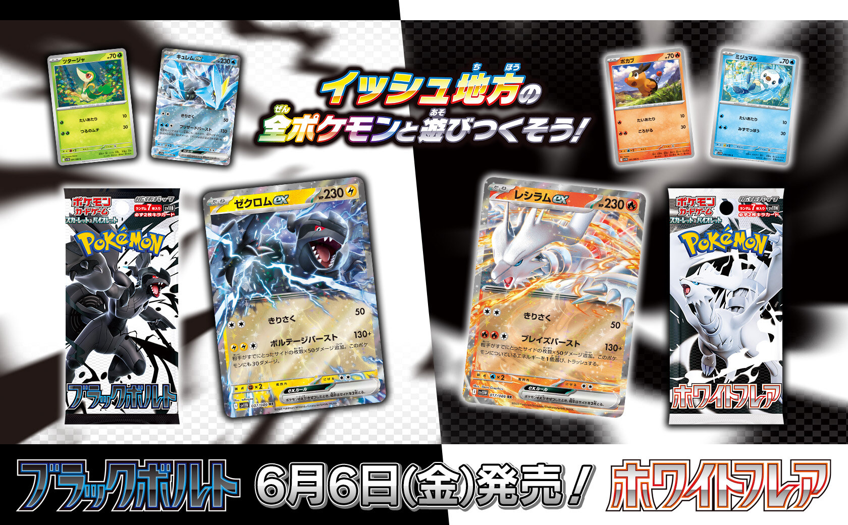BWRのカードをはじめとした収録カードを一挙公開！ | ポケモンカード