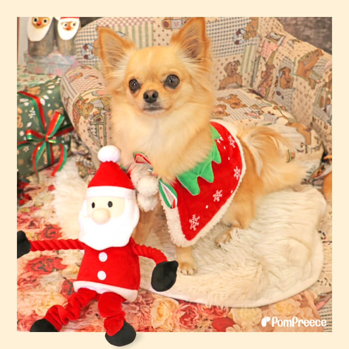 デンタルロープTOY KASAKASA のびのびサンタさんポンポリース株式会社