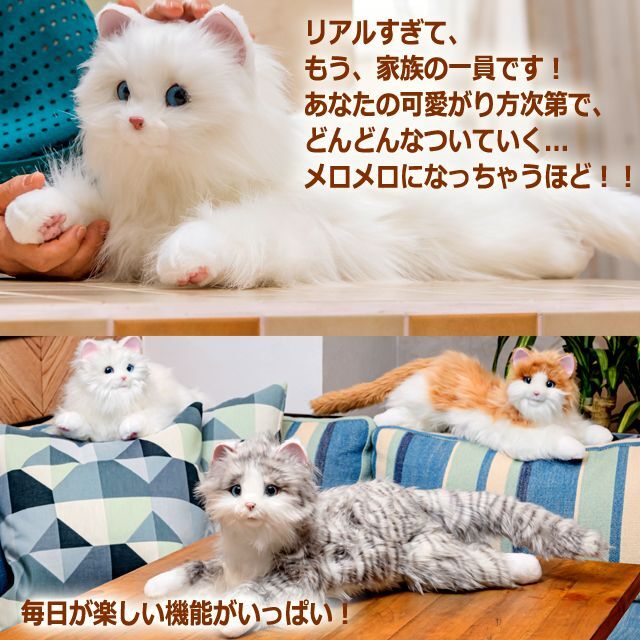 ふれあい成長機能搭載！リアルすぎる感情表現にメロメロ！しっぽふりふ