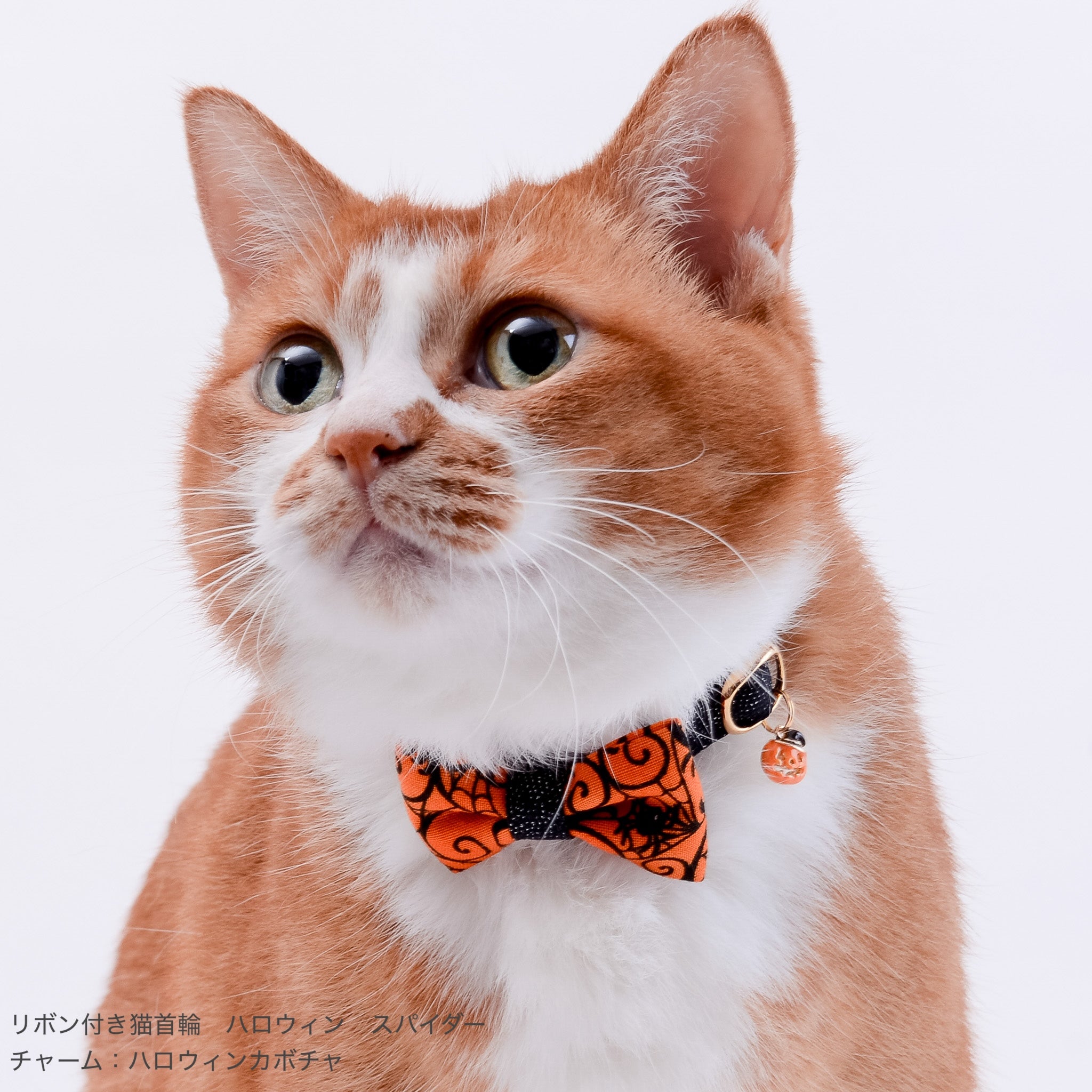 猫首輪用チャーム ハロウィンカボチャ｜ぽぽねこ公式オンラインショップ
