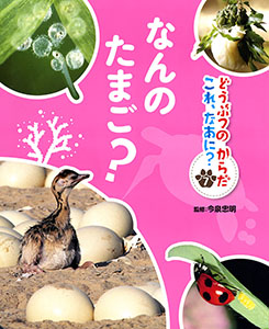 なんの たまご？｜どうぶつのからだ これ、なあに？｜学習｜本を探す