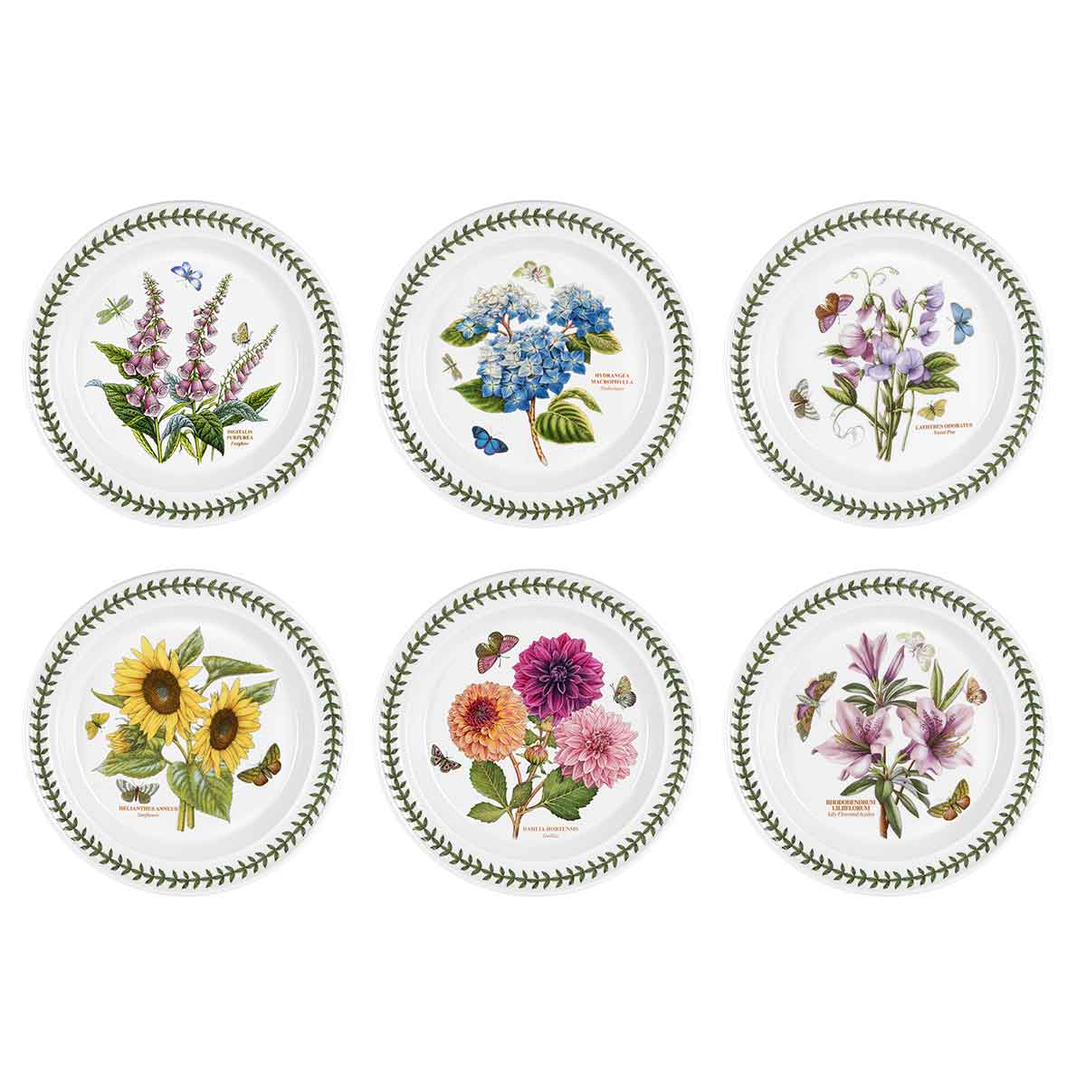 Botanic Garden Dinner Plates Set of 6 | Portmeirion