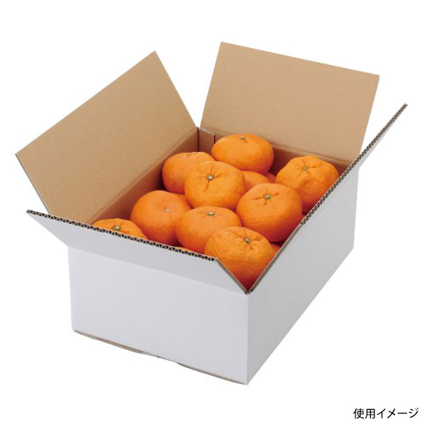 ギフト箱 L-2232 A式みかん白無地5㎏ ヤマニパッケージ | テイクアウト