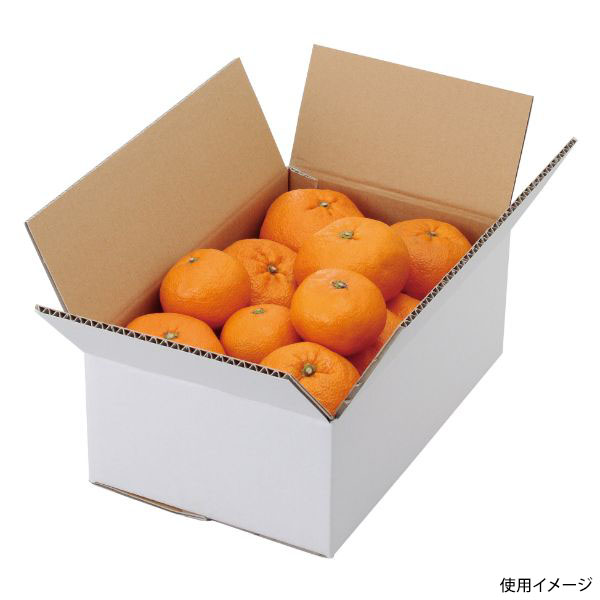 ギフト箱 L-2231 A式みかん白無地3㎏ ヤマニパッケージ | テイクアウト