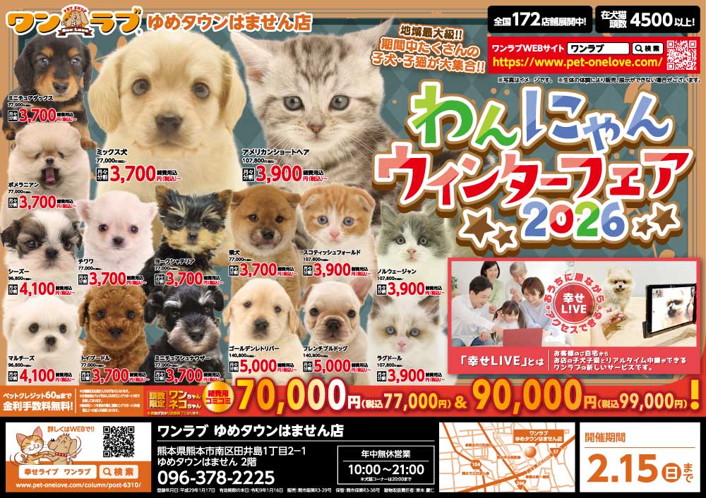 わんにゃんウィンターフェア2026 開催!!】熊本県 ワンラブ ゆめタウン