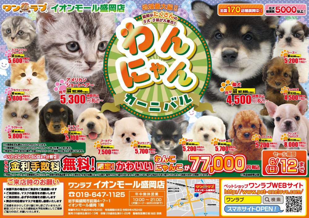 わんにゃんカーニバル開催！！】岩手県 ワンラブ イオンモール盛岡店