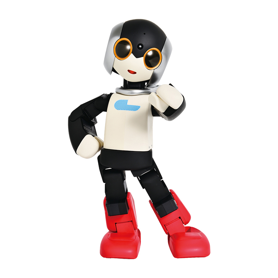 robi2-1x1.jpg