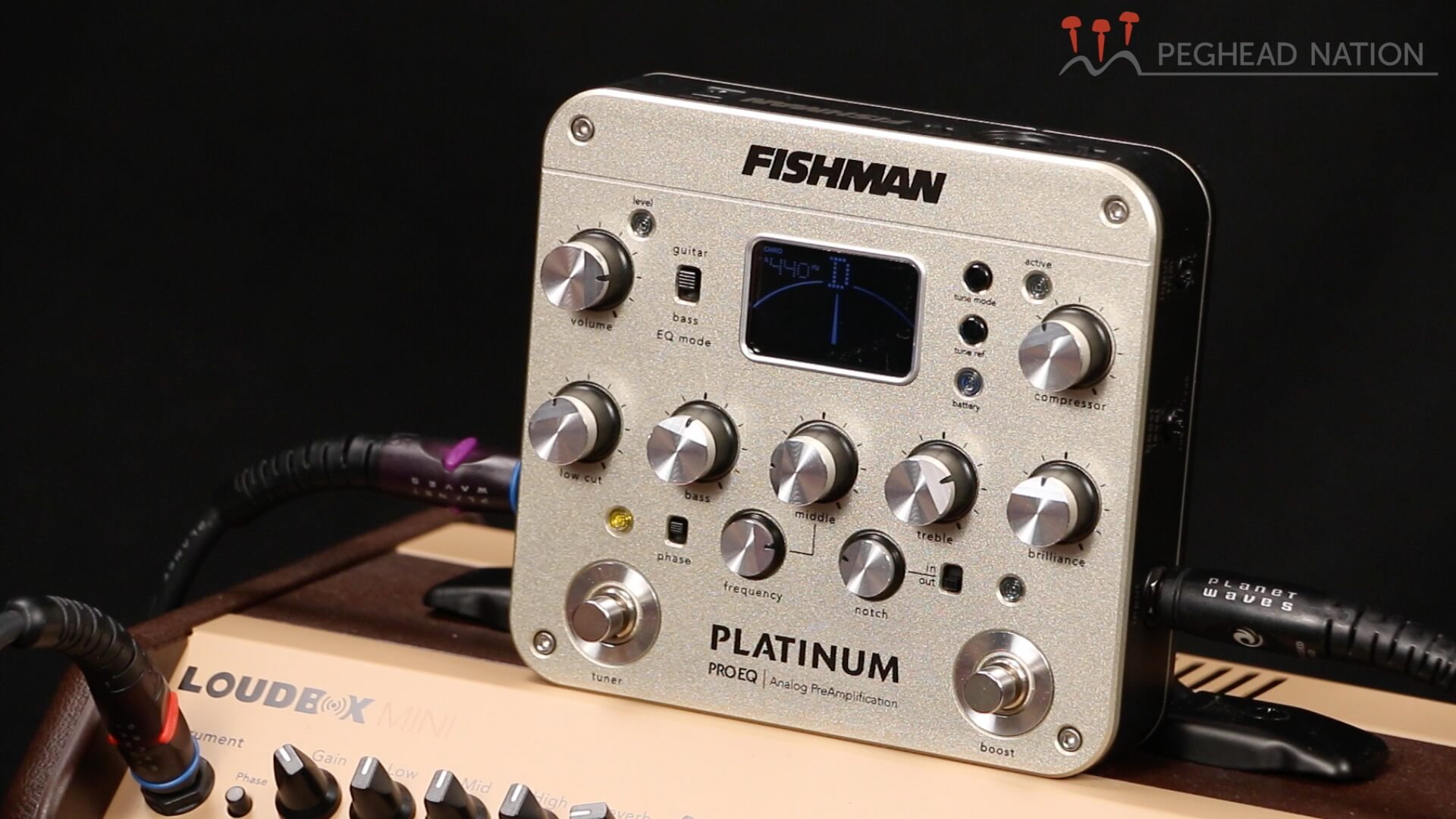 Fishman Platinum Pro EQ review - Peghead Nation