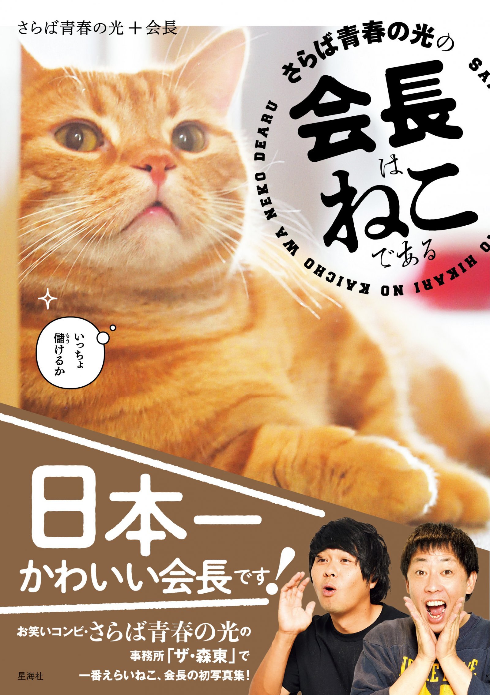 お笑いコンビ・さらば青春の光の個人事務所「ザ・森東」会長（猫）の