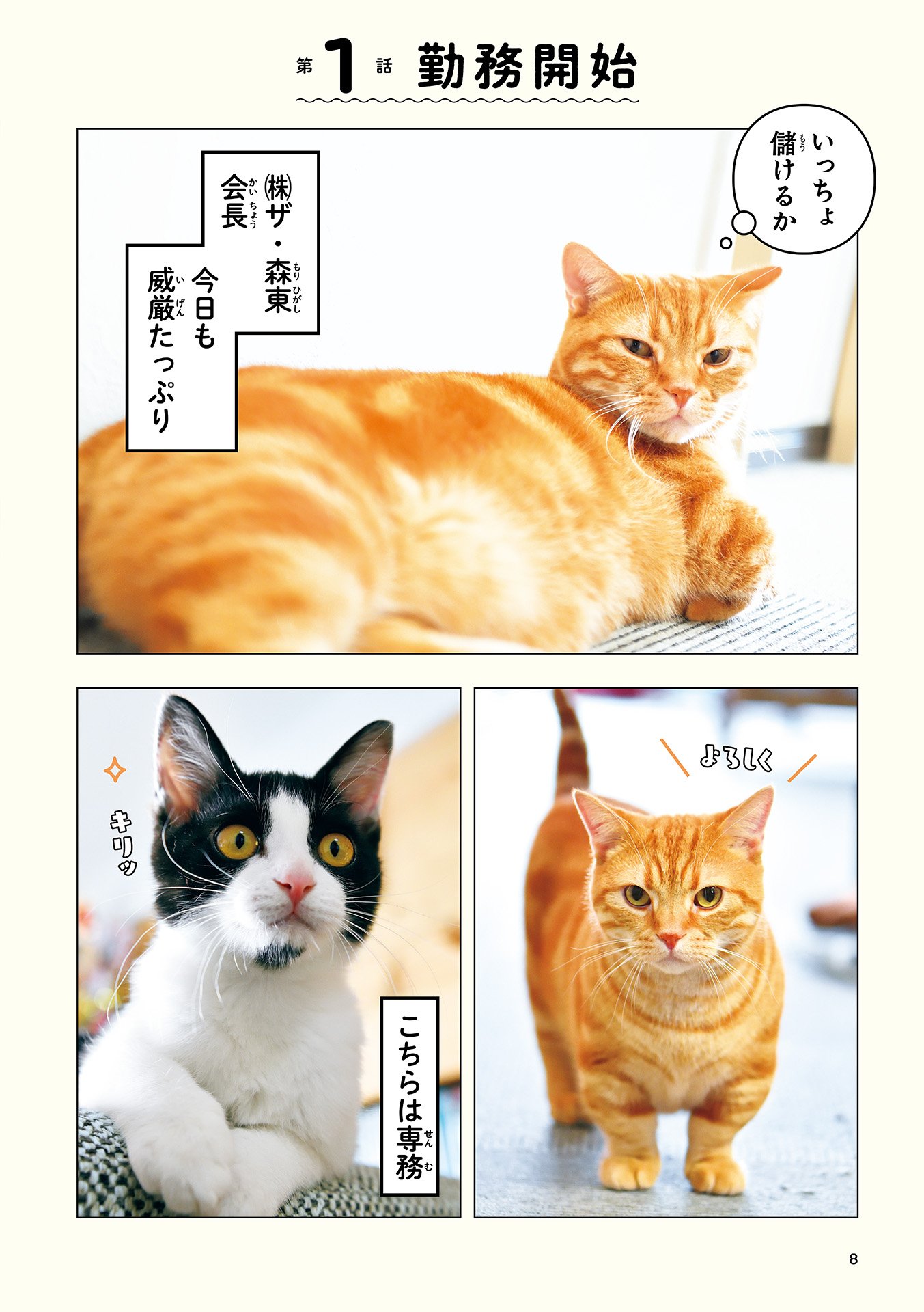 お笑いコンビ・さらば青春の光の個人事務所「ザ・森東」会長（猫）の