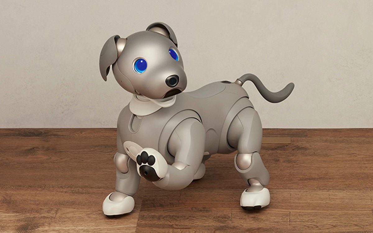 ソニー、“aibo”の2021年限定色『黒ごまエディション』。4色から選べる