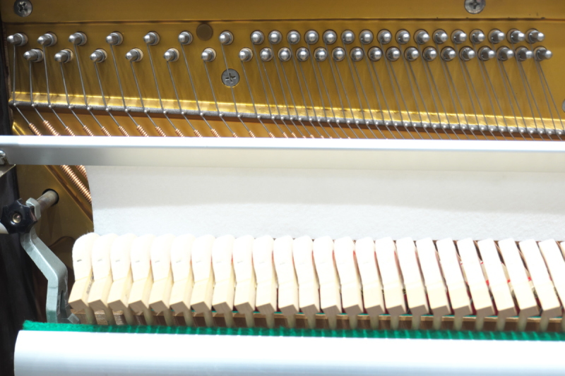 株式会社ピアノプラザ | ROSENSTOCK RG-707DW