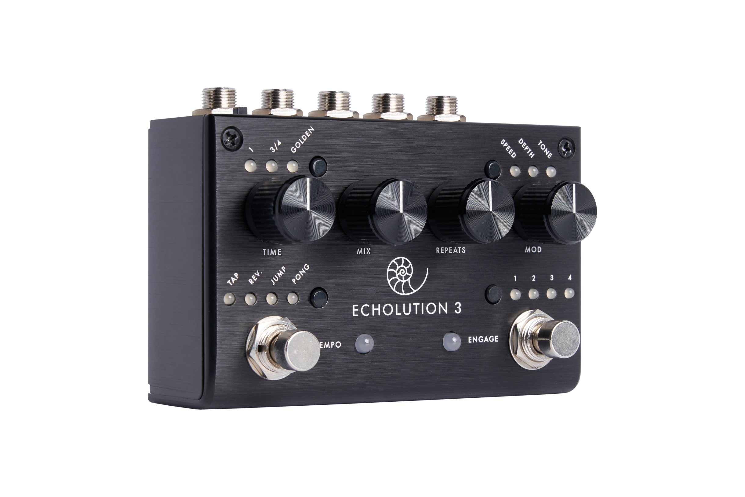 Echolution 3 - Pigtronix