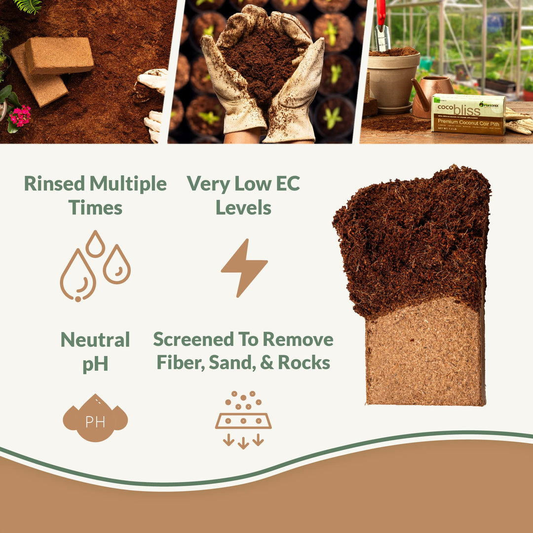 PlantonixInfographics-