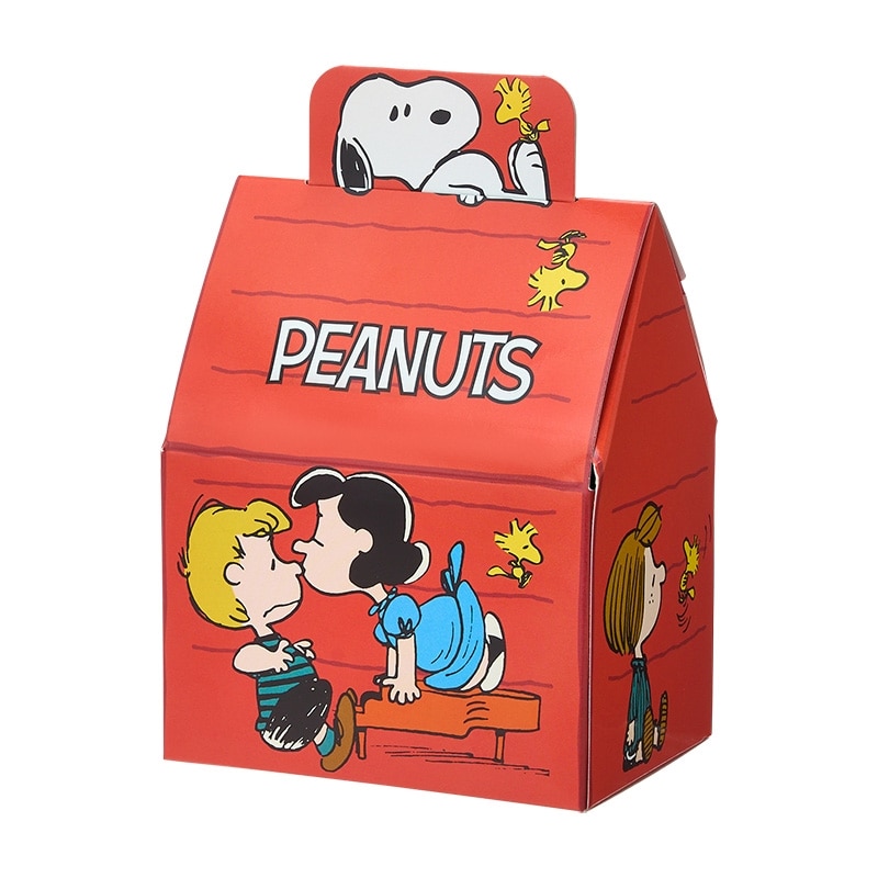 スヌーピー PEANUTS ハウススイーツ ボックス(チョコチップクッキー