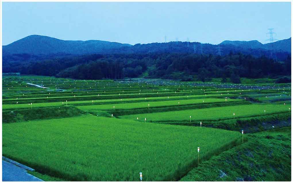 やまがたの棚田カード | 山形県