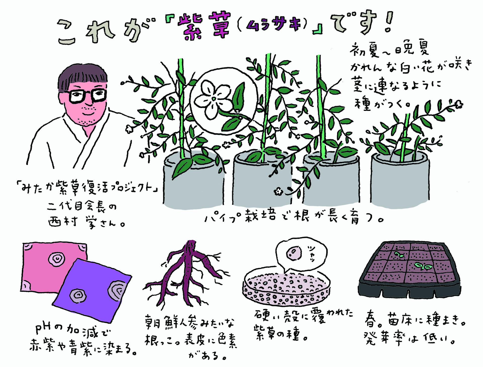 染め織りペディア13 | 雑誌『七緒（nanaoh）～着物からはじまる暮らし