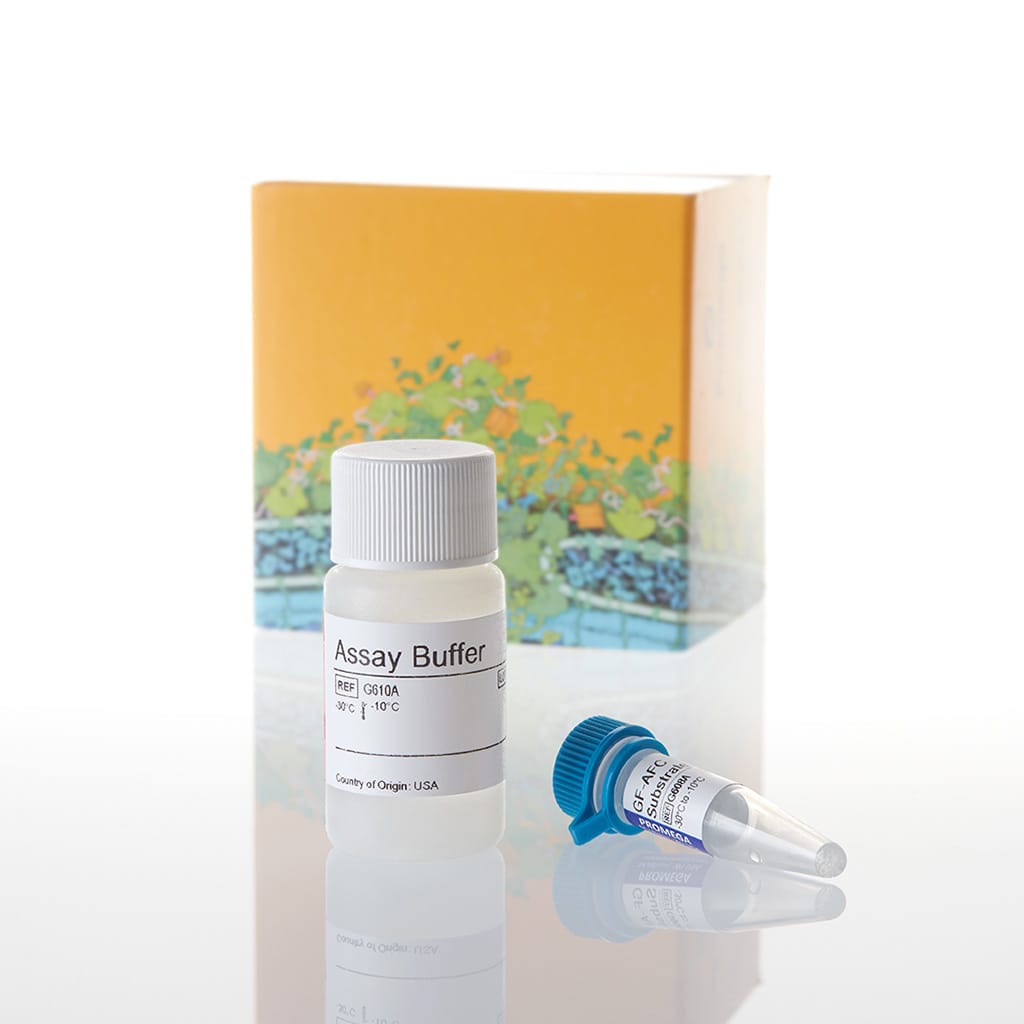CellTiter-Fluor™ Cell Viability Assay