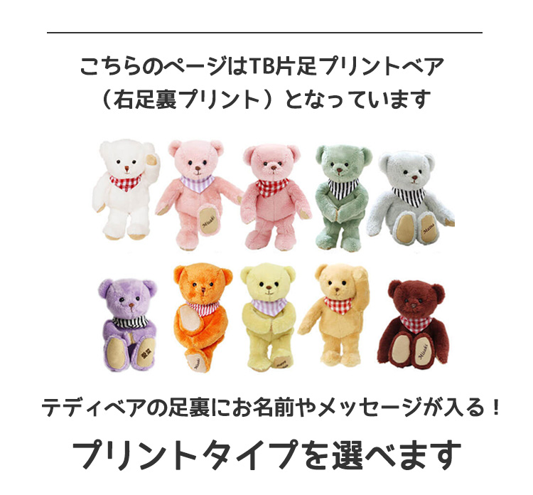 名入れできるカラフルテディベア｜お揃いも楽しめる推し活ぬいぐるみ