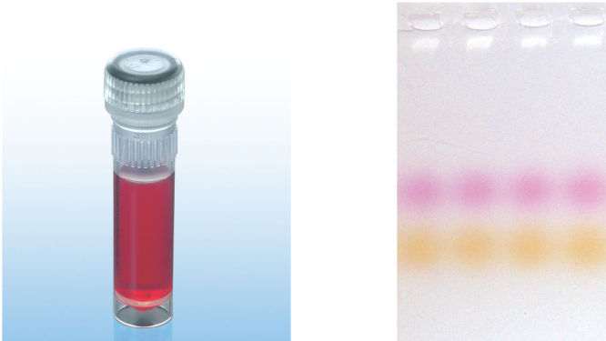 QIAGEN Multiplex PCR Plus Kit
