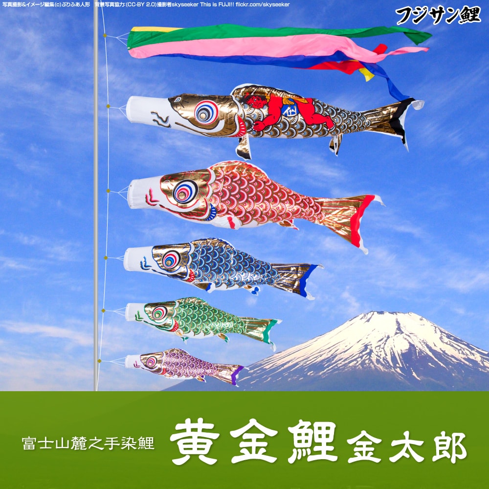 鯉のぼり フジサン鯉 黄金鯉金太郎 | prefer