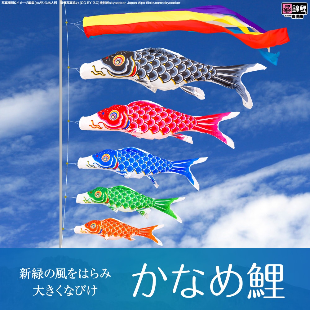 ワタナベ鯉のぼり かなめ鯉 | prefer
