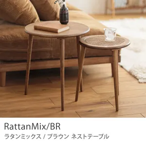 ramixbr-st.webp