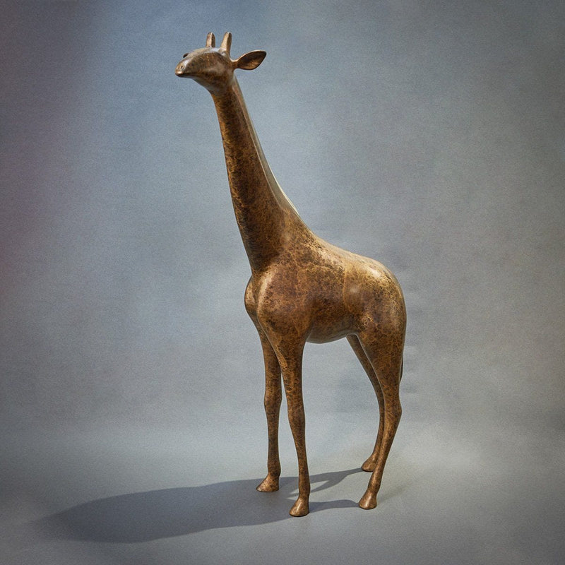African Giraffe