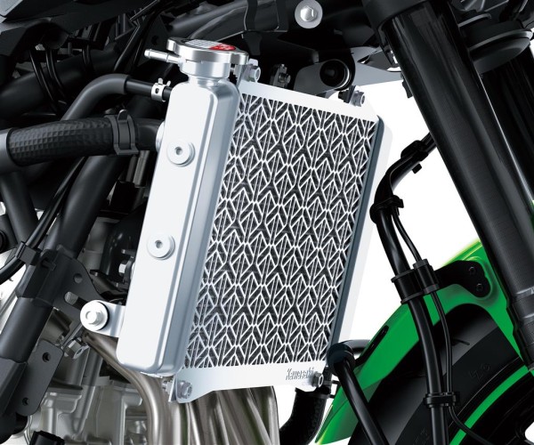 Kühlerschutz für Kawasaki Ninja ZX-4RR (24-) Original - 999941887