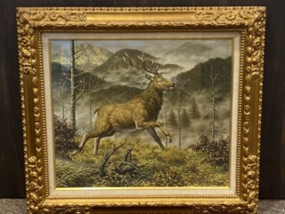 S__11845635-medium.jpg