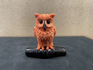 S__216072203-medium.jpg