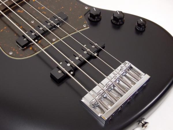 Freedom Custom Guitar Research Anthra 5st Alder / R Shadow Black