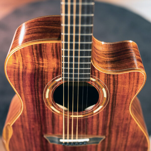 G55CE Koa | Washburn Guitars
