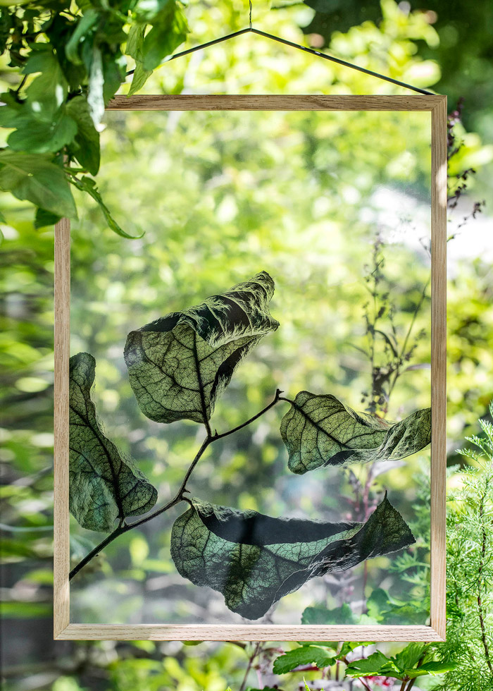 Floating Leaves / moeve + Paper Collective + Norm