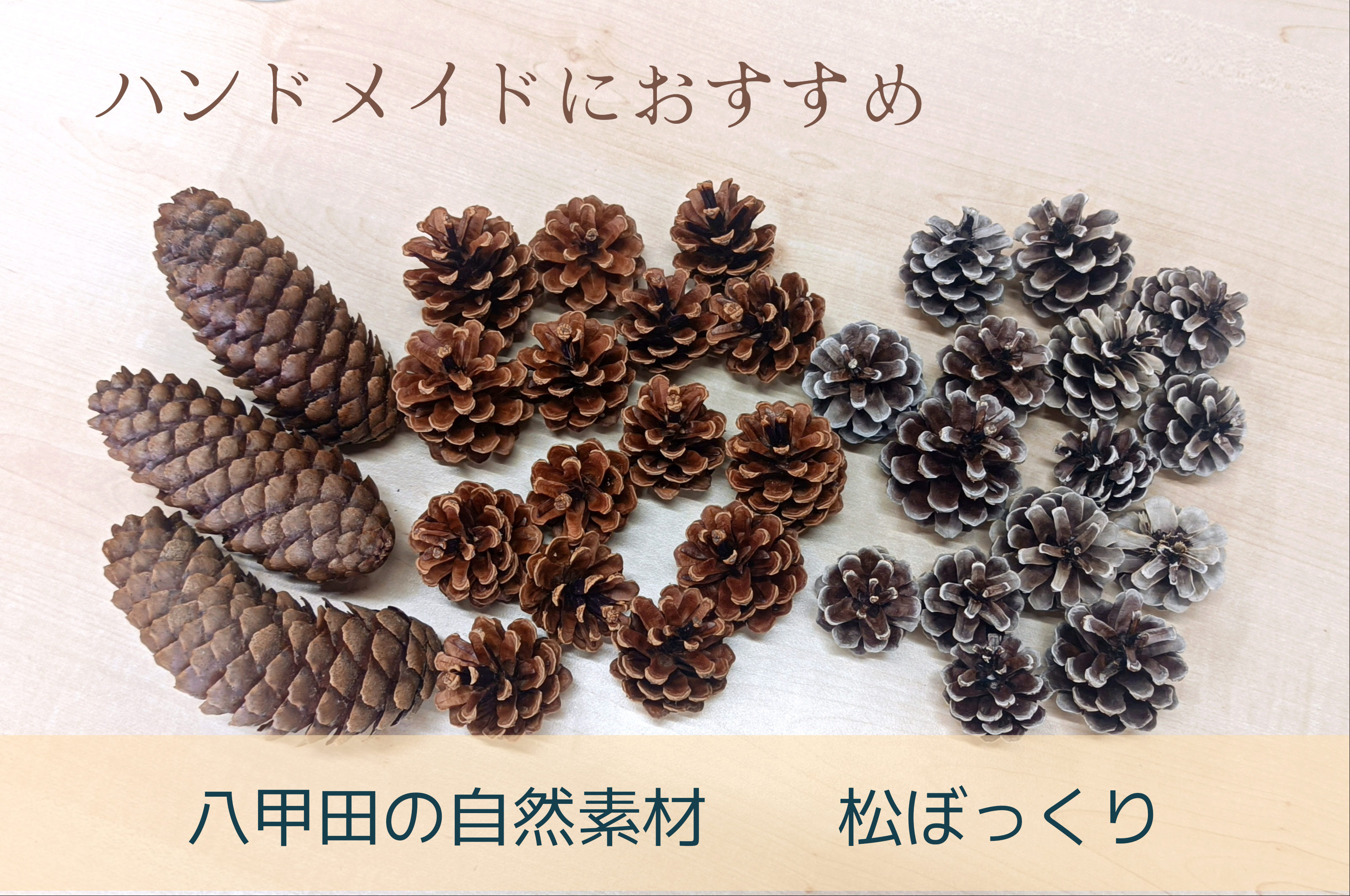 使い方色々！クラフト用松ぼっくり 商品詳細｜旬花柊萄（syunkasyuto