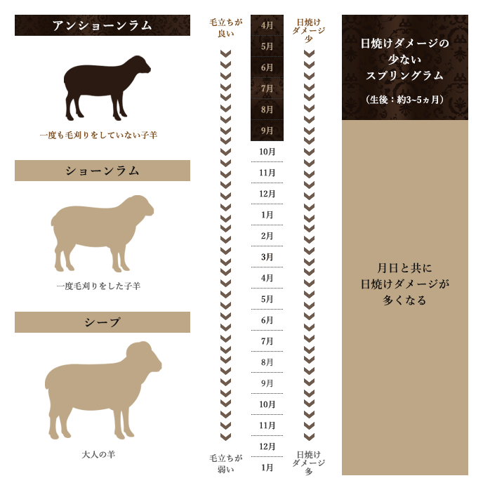 プチアリエス ムートン座布団: ムートン｜東洋羽毛公式通販サイト【公式】
