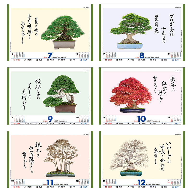 盆栽逸品集（2026年版）｜株式会社トーダン