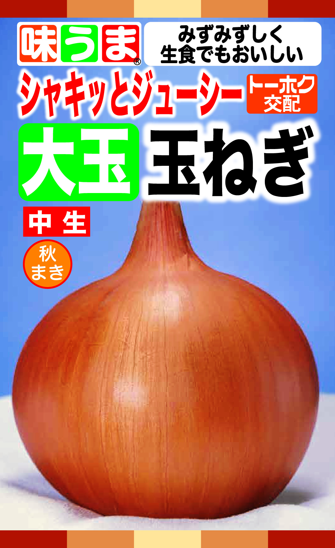タマネギ | 野菜のタネ | 株式会社トーホク
