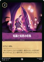 ロビン・フッド 狙撃の名手【ロルカナお買得価格通販：CBトレコロ】