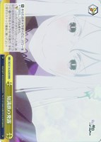 ミニレム【ヴァイスシュヴァルツトレカお買得価格通販：CBトレコロ】