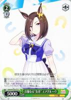 エレガンス・ライン メジロマックイーン【ヴァイスシュヴァルツトレカ