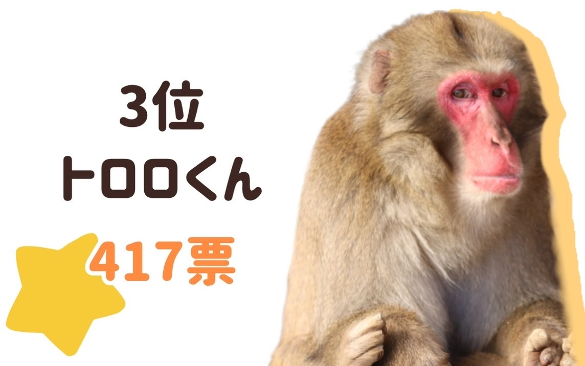 NEXTボス予想結果発表！！ | 高尾山さる園ブログ