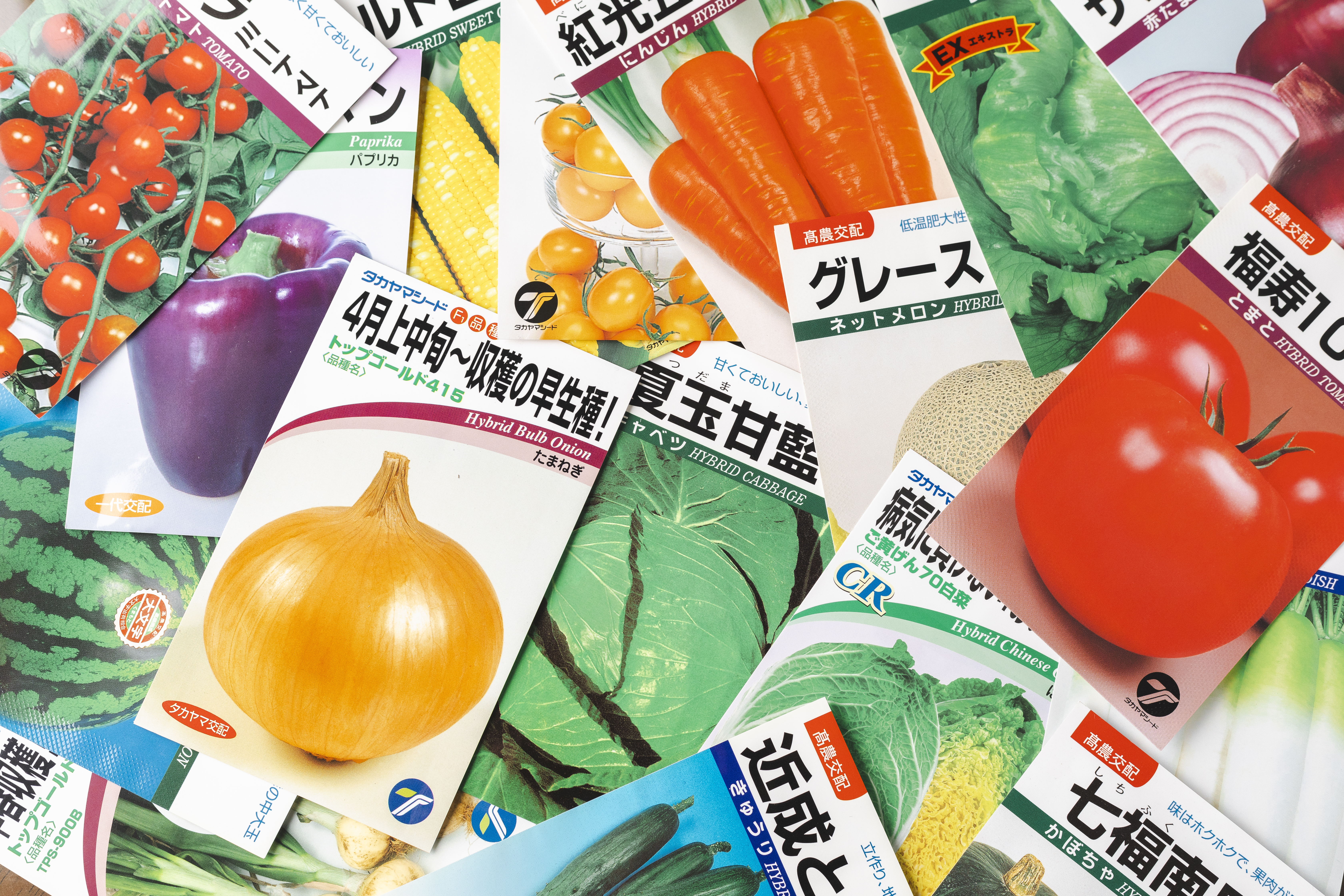 野菜 種 苗 株式会社タカヤマシード│新品種紹介