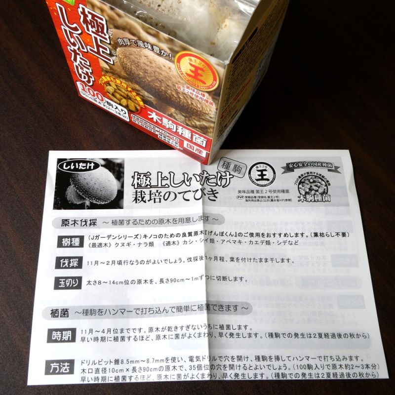 木駒種菌｜極上しいたけ-菌王2号（F206）肉厚で風味豊かなシイタケ菌