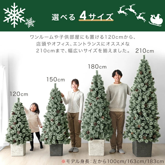 150cm] クリスマスツリー ヌードツリー 松ぼっくり付 オーナメント
