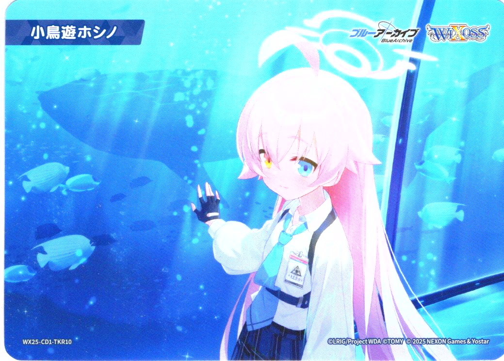 小鳥遊ホシノ[WX25-CD1-TKR10] - マスターズスクウェア通販